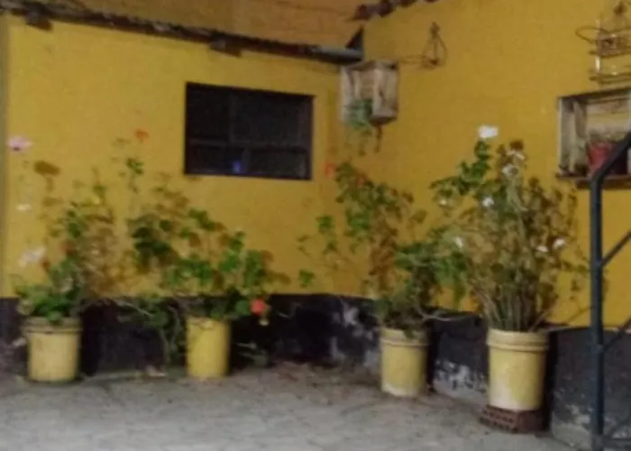 Sacred Valley Boutique Vegan Calca